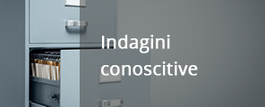 indagini conoscitive