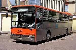 immagine allegata