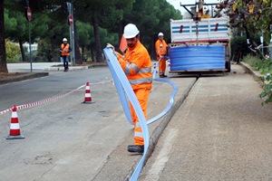 immagine allegata