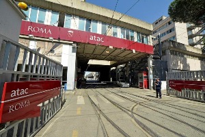 immagine allegata